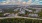 aerial view of trees and houses